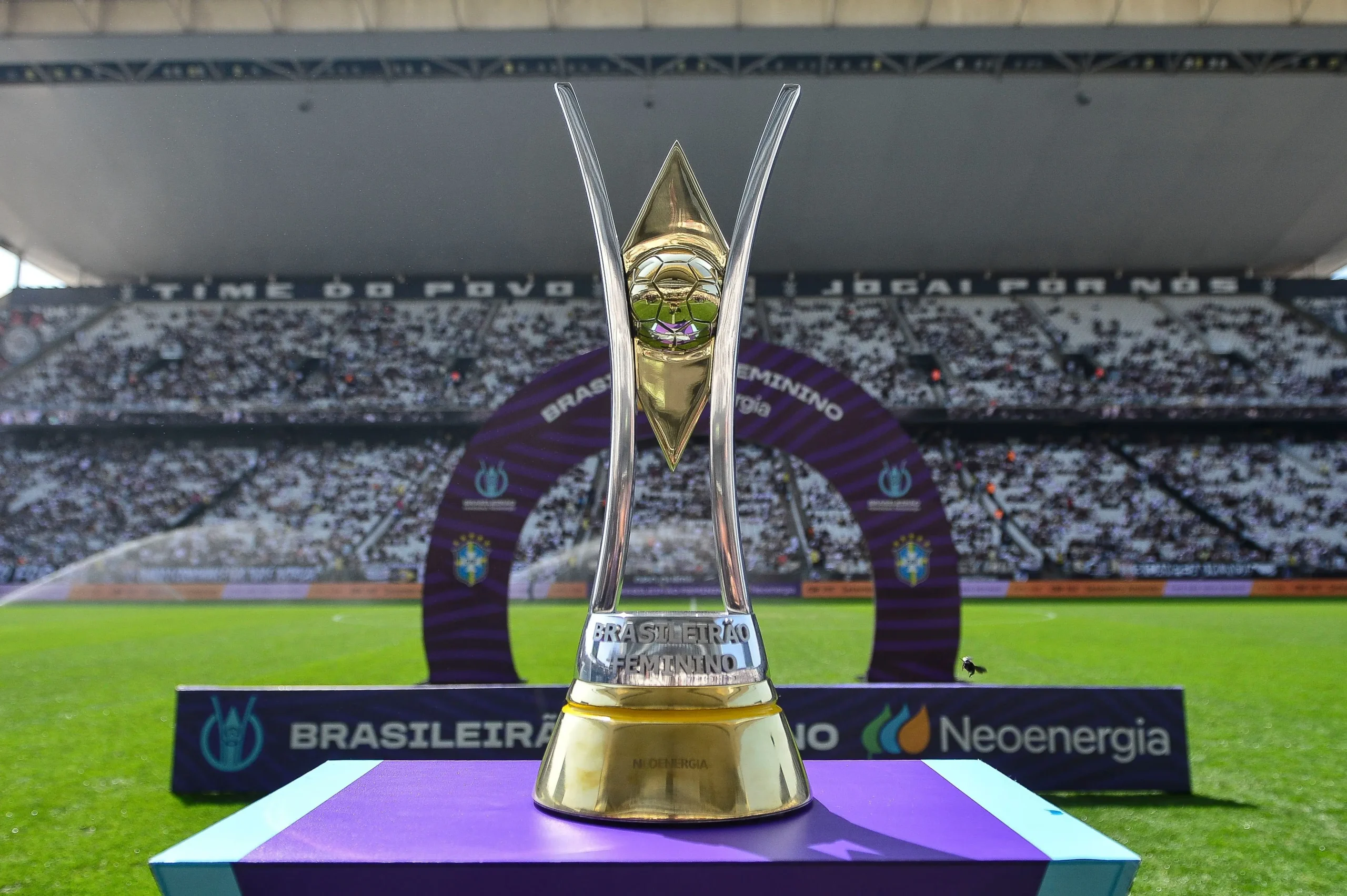 Foto: Mauro Horita/CBF